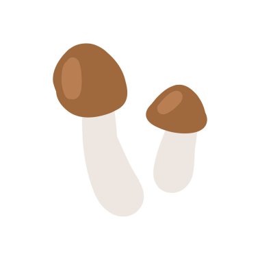 İki basit kahverengi mantar ve toprak tonları. Minimalist tasarımlar, organik doğa temaları, sonbahardan esinlenilmiş çizimler ve ormandan esinlenilmiş içerik için ideal..