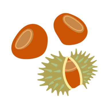 Yeşil dikenli kabuklu sonbahar kestaneleri, sonbahar temalı tasarımlar, hasat festivali promosyonları ya da sağlıklı atıştırmalık paketleri için mükemmel..