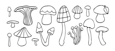 Organik şekilli ve dünyevi titreşimli tuhaf siyah beyaz mantar çizimi. Orman, orman teması ya da botanik sanatı için mükemmel..