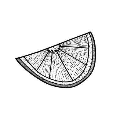 Turunçgiller için ayrıntılı siyah mürekkep çizimi, besinlerle ilgili içerik, sağlıklı beslenme, tarif blogları veya mutfak duvarı sanatı için ideal..