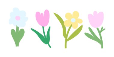 Yumuşak renklerde laleler ve papatyalarla asgari bahar çiçekleri. Botanik baskılar, bahçe davetiyeleri ve Paskalya tasarım elementleri için mükemmel..