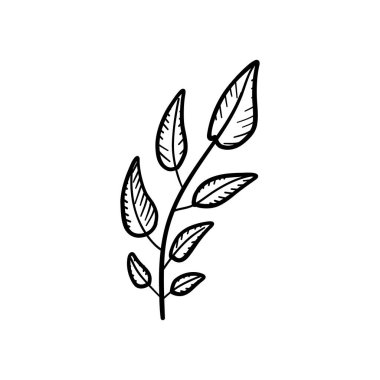 Doğa temaları, organik cilt etiketleri, eko ambalajlama ve doğal sağlık markaları için ideal yapraklı el yapımı bitki dalı..