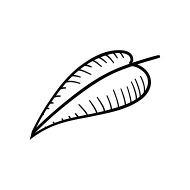 Temiz botanik hatları olan asgari siyah bir yaprak çizimi. Zarif dekor, çevre dostu tasarım veya modern bitki sanatları için mükemmel..