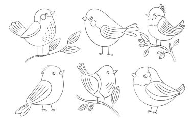 Dallara tünemiş sevimli ana hatlı kuşlar, doğa, vahşi yaşam, bahar sanatı, çizim ve el yapımı boyama sayfaları için mükemmel..