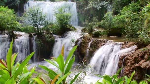 Thi Lor Su瀑布位于泰国德省的Umphang野生动物保护区 是联合国教科文组织的世界遗产 — 图库视频影像