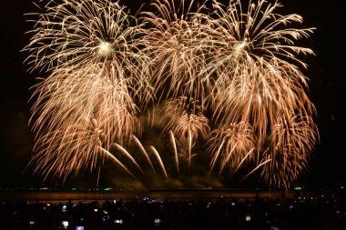 Havai fişek gösterisi kameralı ve akıllı telefonlu insanların neşeli anları..