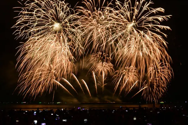 Havai fişek gösterisi kameralı ve akıllı telefonlu insanların neşeli anları..