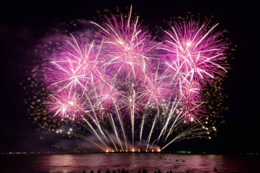 Renkli havai fişek kutlamaları ve deniz kenarında gece yarısı gökyüzü geçmişi olan insanlar..