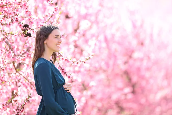 Perfil Una Mujer Embarazada Fondo Rosa —  Fotos de Stock