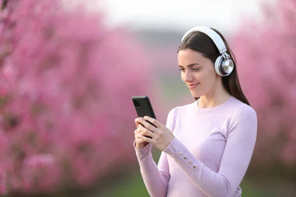 電話とヘッドフォンでピンクのフィールドで音楽を聴く女性 — ストック写真