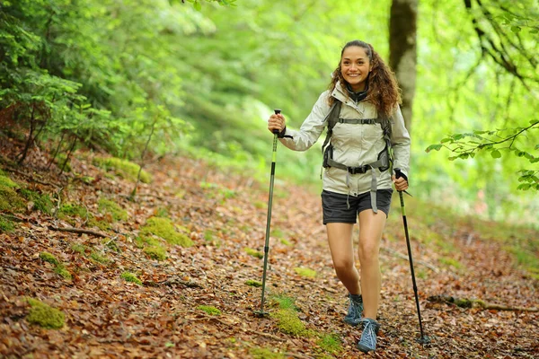 Retrato Vista Frontal Caminante Feliz Caminando Bosque —  Fotos de Stock