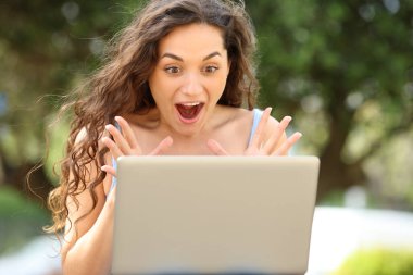 Front view portrait of an amazed woman checking laptop in a park