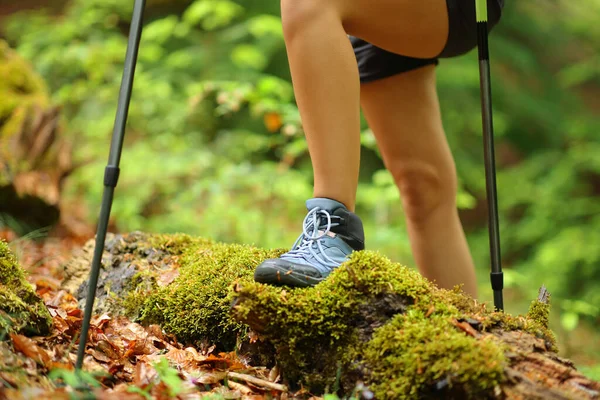 Hiker Legs Walking Green Forest Summer — стоковое фото
