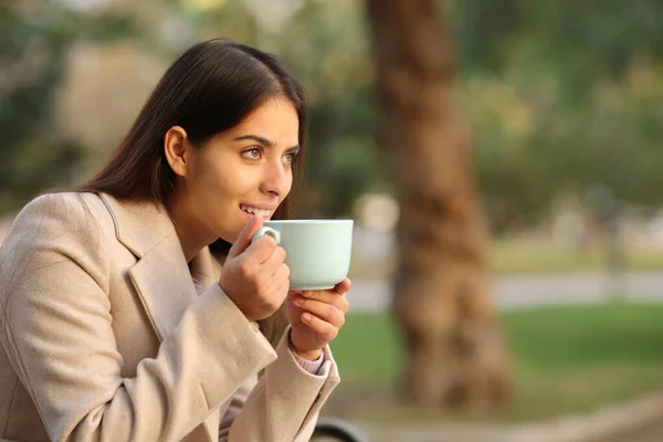 Mujer Feliz Mirando Hacia Otro Lado Bebiendo Café Invierno Sentado —  Fotos de Stock
