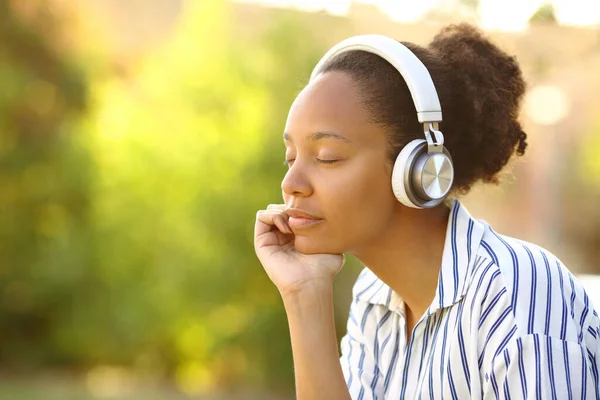 Zrelaksowany Czarny Kobieta Noszenie Słuchawki Słuchanie Muzyki Odpoczynku Parku — Zdjęcie stockowe