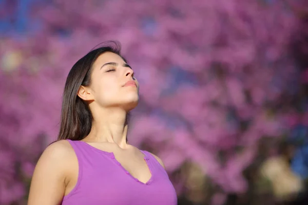 公園で紫の上に新鮮な空気を呼吸するリラックスした女性 — ストック写真