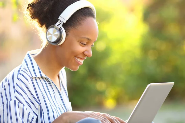Happy Black Woman Ogląda Media Laptopie Słuchawką Zielonym Parku — Zdjęcie stockowe