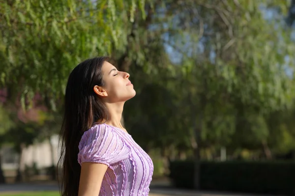 Profile of a relaxed woman in a park breathing fresh air