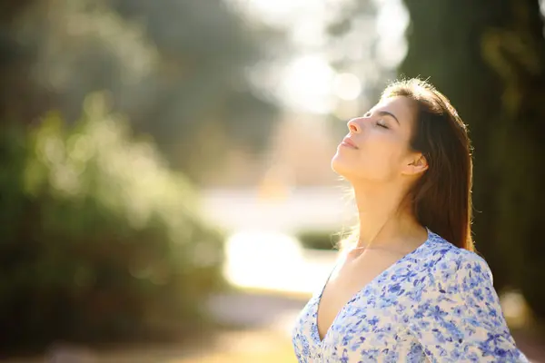 Güneşli Bir Günde Parkta Temiz Hava Soluyan Mutlu Bir Kadının — Stok fotoğraf