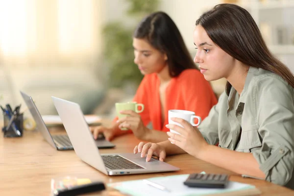 Two Tele Workers Working Laptops Sitting Home — Stock Photo, Image