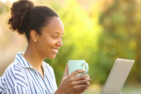 Happy black woman using laptop drinking coffee in a garden