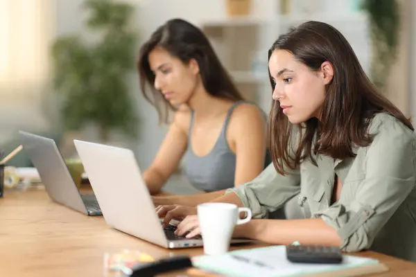 Two Serious Tele Workers Working Online Home — Stock Photo, Image