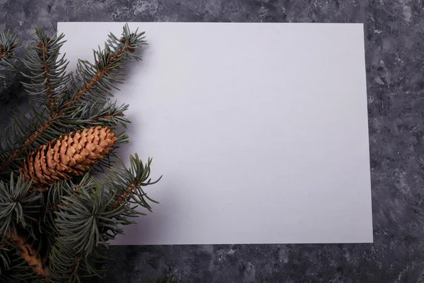 Blue fir tree branch with big cone on grey and white wooden background. Merry Christmas blank card, advertisement template, copy space