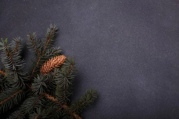 Blue fir tree branch with big cone on grey wooden background. Merry Christmas blank card, advertisement template, copy space