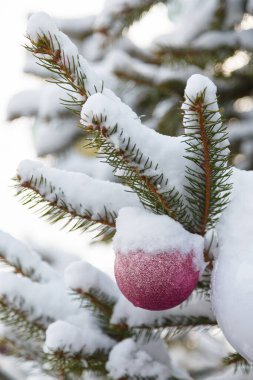 Noel ağacı dalları karla kaplı ve açık havada pembe mücevherlerle süslenmiş, dikey çekim.