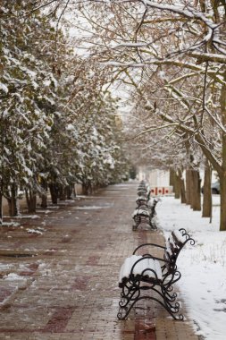 Güzel kış kenti manzarası. Banklar ve ağaçlarla kaplı. Karla kaplı, sulu, ıslak bir yol.