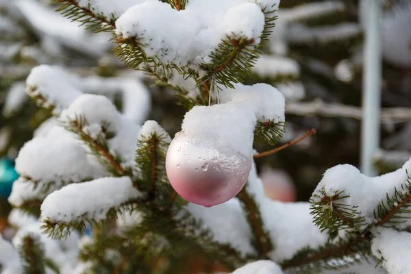 Pink Bauble Fir Branch Covered Snow Decorated Christmas Tree Outdoors — Stock Photo, Image