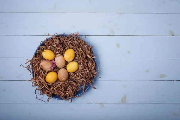 Brown, yellow Easter eggs in nest on blue wooden background. Eggs colored with turmeric, coffee, tea. Top view, copy space.