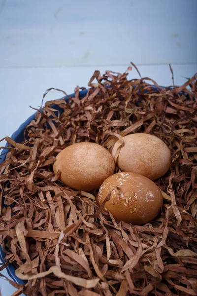 Coffee colored Easter eggs in nest on blue wooden background. DIY Easter eggs coloring. Vertical shot