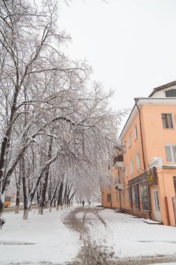 Snowy winter landscape, trees covered with snow. Cold weather with snowfall