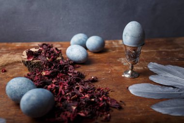 Mavi boyalı Paskalya yumurtaları, yumurta kabında bir yumurta, kuru Hibiscus çayı ve ahşap arka planda gümüş dekoratif tüyler, kopyalama alanı