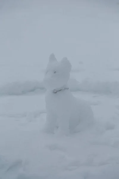 Snowman in the shape of a dog, funny cute snow statue or sculpture. Children December holidays leisure. Winter blizzard