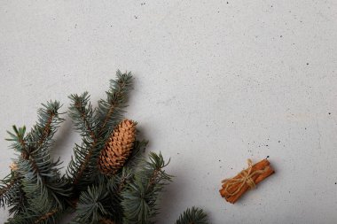 Beyaz ahşap arka planda büyük koni ve tarçın çubukları olan mavi köknar ağacı dalı. Noel boş kartı, kopyalama alanı