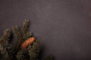 Gri ahşap arka planda büyük konisi olan mavi köknar ağacı dalı. Mutlu Noeller boş kart, reklam şablonu, kopyalama alanı