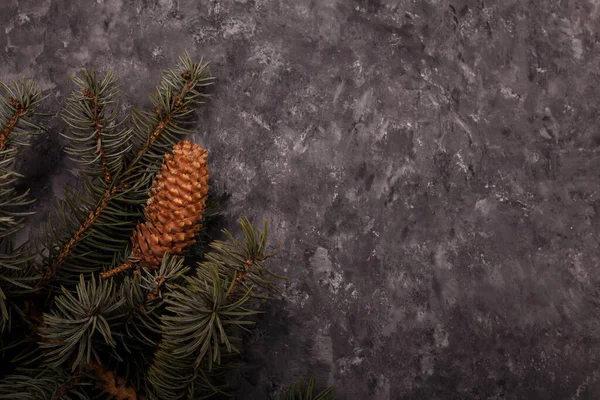 蓝色冷杉树枝 大圆锥 灰色木制背景 圣诞快乐空白卡 广告模板 复制空间 — 图库照片