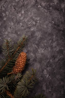 Gri mermer ahşap arka planda büyük konisi olan mavi köknar ağacı dalı. Noel boş kartı, kopyalama alanı, dikey çekim