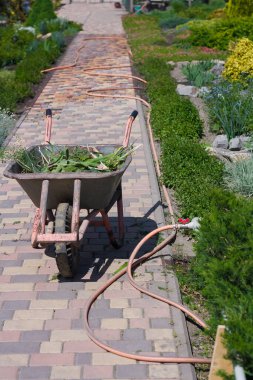 Botanik bahçesinde ya da parkta çimleri biçilmiş el arabası. Bahar çalışması.