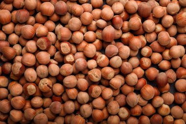 Kabuklu bir sürü çiğ fındık, arka plan, doğal besin dokusu, şablon. Üst görünüm.