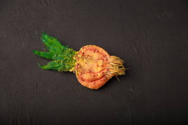 Siyah ahşap arka planda kumaş yeşili soğan broşu. Geri dönüşüm ve yükseltme konsepti. Pamuk kumaştan komik bir aksesuar. Boşluğu kopyala.