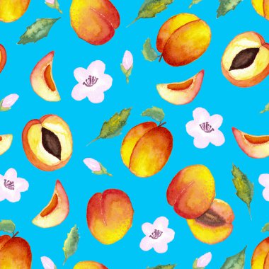 Sulu boyanın kusursuz deseni ve mavi arka planda yapraklı ve çiçekli yarım kayısılar.