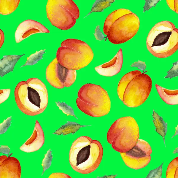 Sulu boyanın kusursuz deseni ve yeşil arka planda yapraklı yarım kayısılar.