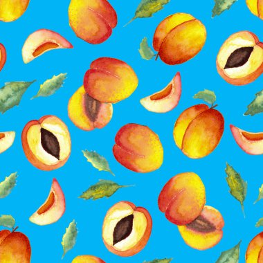 Sulu boyanın kusursuz deseni ve mavi arka planda yapraklı yarım kayısılar.