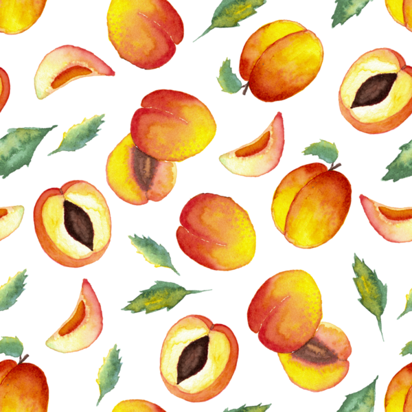 Sulu boyanın kusursuz deseni ve beyaz arka planda yapraklı yarı yarıya kayısılar.