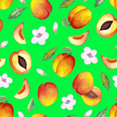 Sulu boyanın kusursuz deseni ve yeşil arka planda yapraklı ve çiçekli yarım kayısılar.