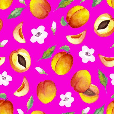 Sulu boyanın kusursuz deseni ve pembe arka planda yapraklı ve çiçekli yarım kayısılar.