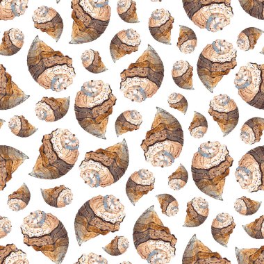 Beyaz arka planda, el boyası, suluboya deniz kabuğu resimlerinin kusursuz deseni.